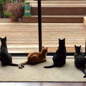 Meet your Posher, Emilie